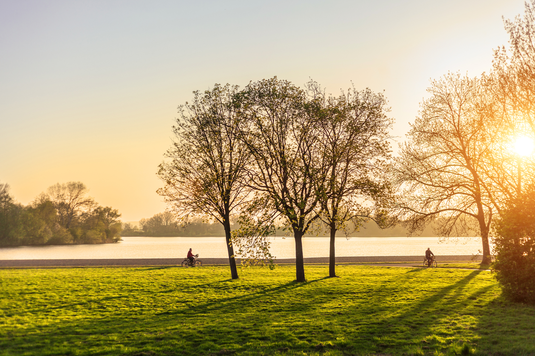 stock-photo-spring-at-the-lake-106708039.jpg